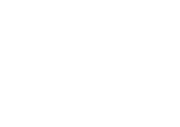 logo Sonnaz